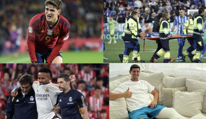 逐漸成長為 逐漸成長為