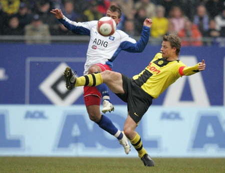 的是关注他 的是关注他